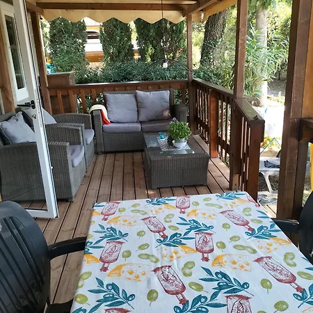 Paradiso - 37 Viareggio